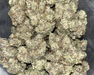 FROSTED DONKEY BUTTER (EXOTIC) - Image 4
